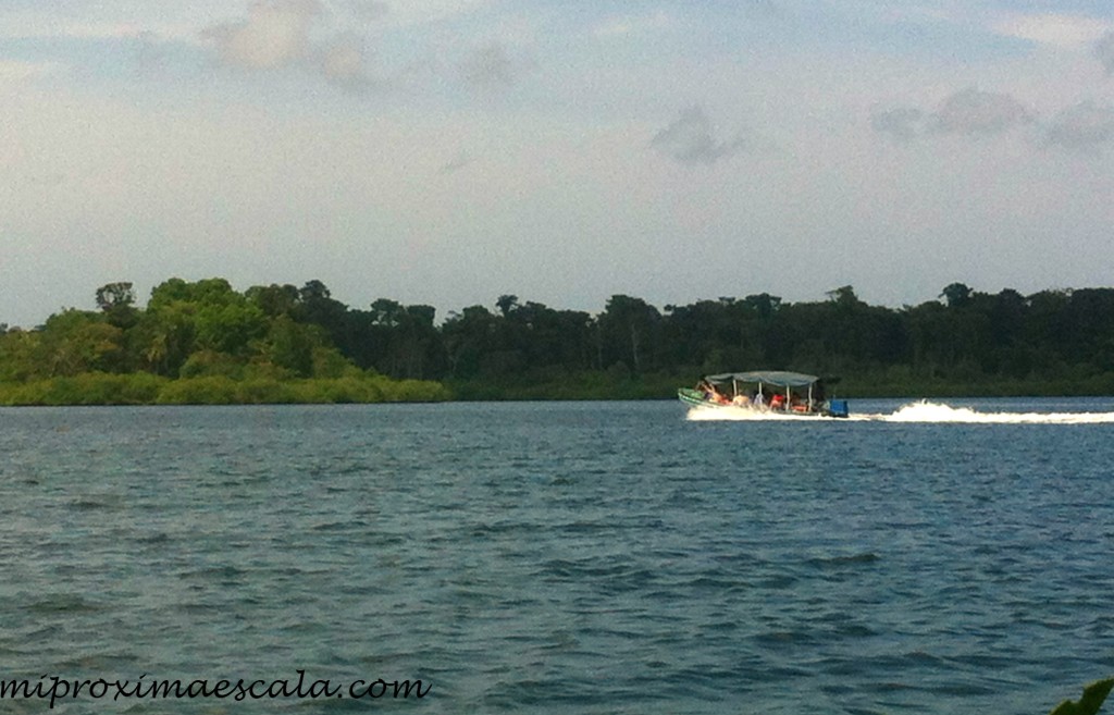 Taxis acuáticos en Bocas.